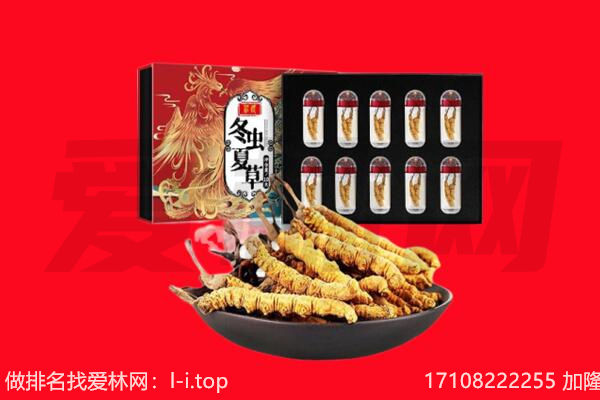 宜宾屏山县回收虫草.jpg